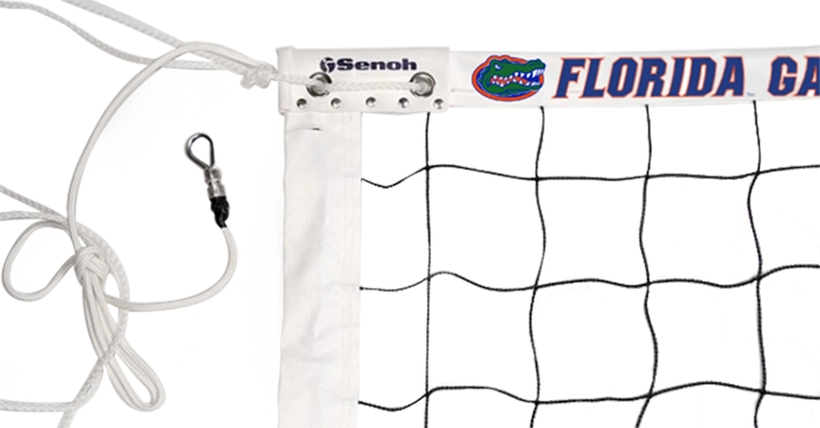 Sample Image Component