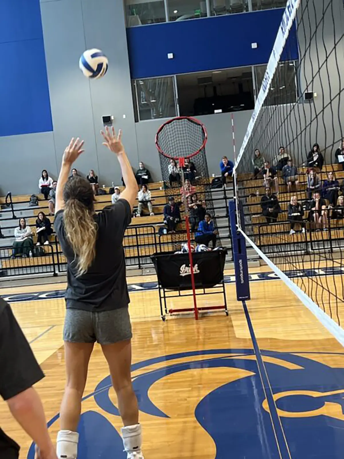 Salima Rockwell Trainer+ Drills